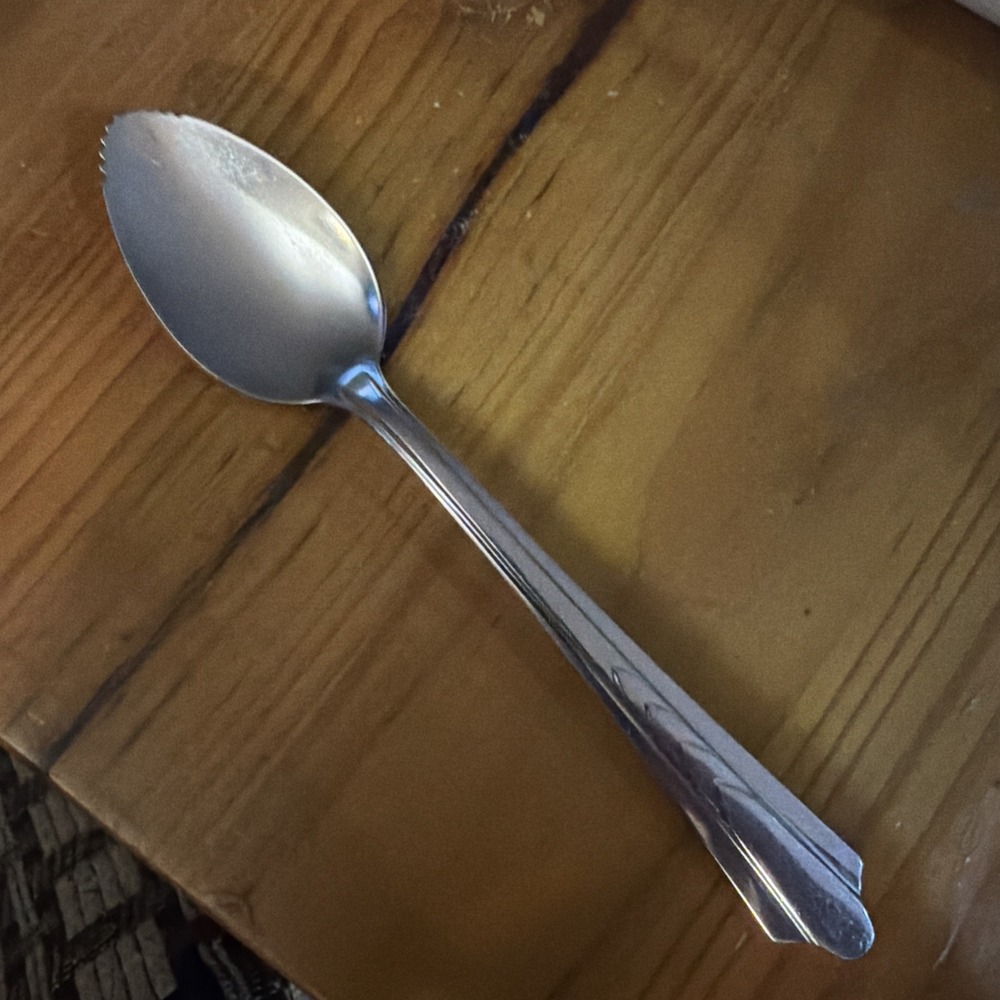 Vintage EKCO Stainless Silverware Grapefruit Spoon Chevron EKS7 Brushed Silver